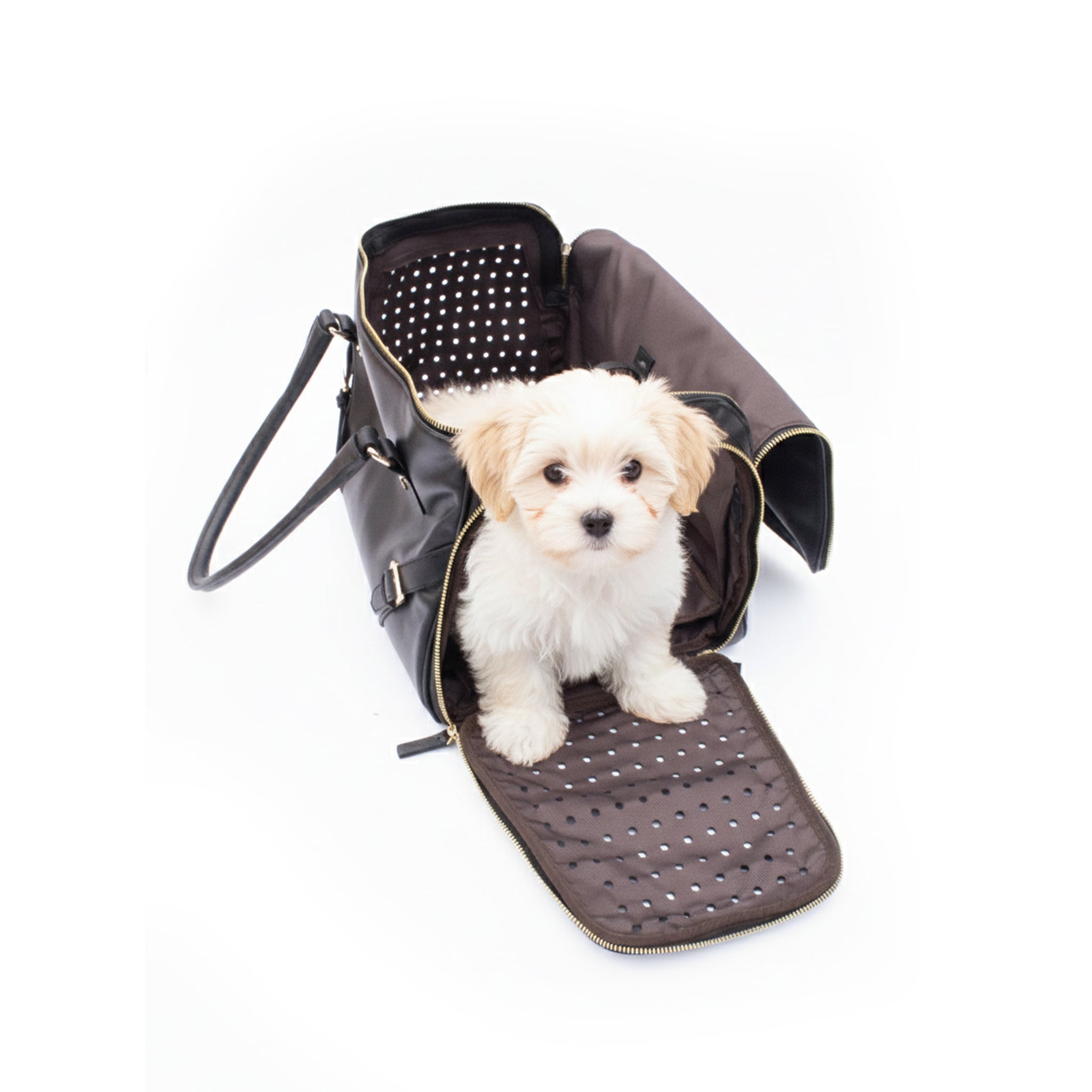 BAULETTO TRAVEL Nera